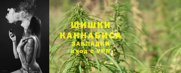 шишки Абаза