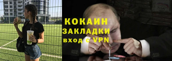 шишки Абаза