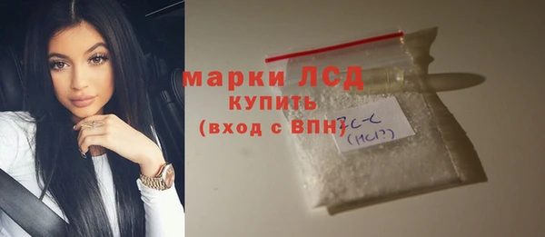 шишки Абаза