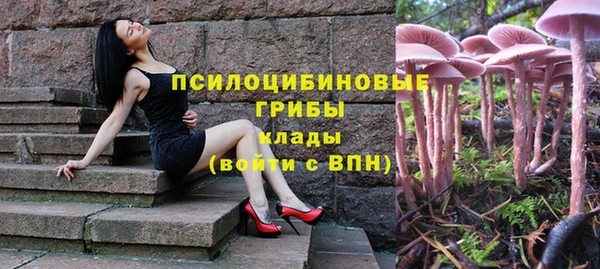 бошки Покровск