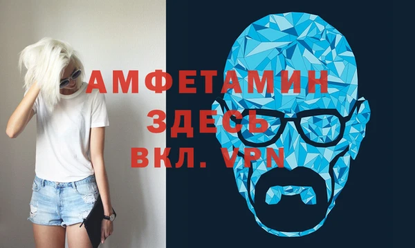 шишки Абаза