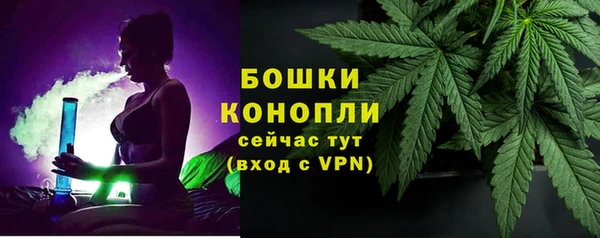 шишки Абаза